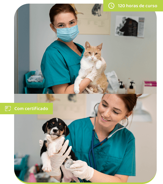 curso-auxiliar-veterinário-em-mauá