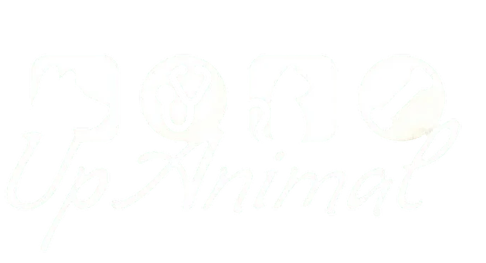 logo-curso